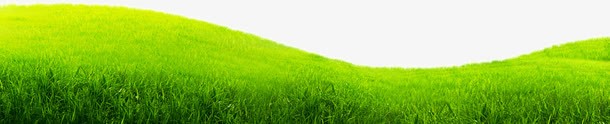 绿色草原背景png免抠素材_88icon https://88icon.com 绿色 背景 草原