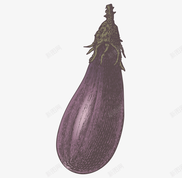 卡通手绘蔬菜装饰海报茄子png免抠素材_88icon https://88icon.com 卡通植物插画 卡通装饰 小清新插画 广告设计 海报设计 美食 茄子 蔬菜 蔬菜插画