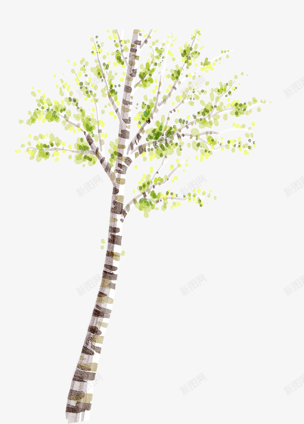 杨树png免抠素材_88icon https://88icon.com 杨树 树木