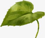 绿色水墨树叶美景png免抠素材_88icon https://88icon.com 树叶 水墨 绿色 美景