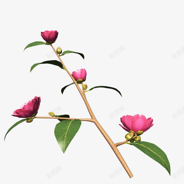 鲜花花卉鲜花海报背景png免抠素材_88icon https://88icon.com 创意花卉图片 唯美背景图片 花朵 花朵图片 鲜花 鲜花边框