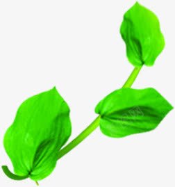 绿色手绘树叶枝条美景png免抠素材_88icon https://88icon.com 枝条 树叶 绿色 美景
