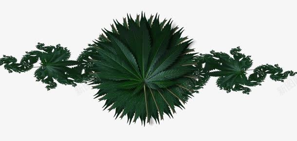 植被大麻青龙png免抠素材_88icon https://88icon.com 四圣兽 大麻青龙 植物 植被 绿色