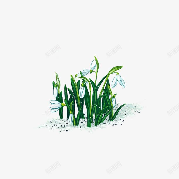 淡彩兰花png免抠素材_88icon https://88icon.com 水彩 淡彩 花丛 花卉