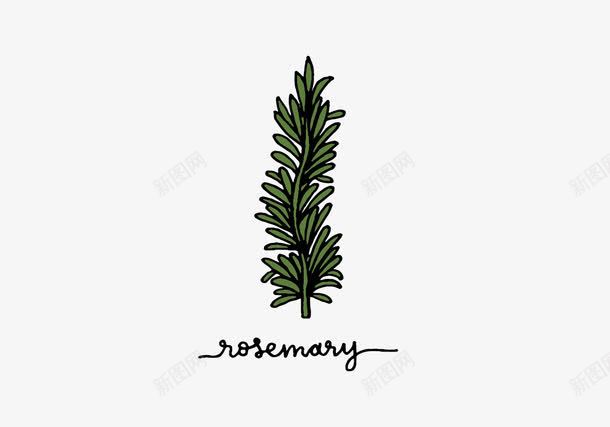 手绘草药迷迭香png免抠素材_88icon https://88icon.com 手绘图片 植物 草药 迷迭香
