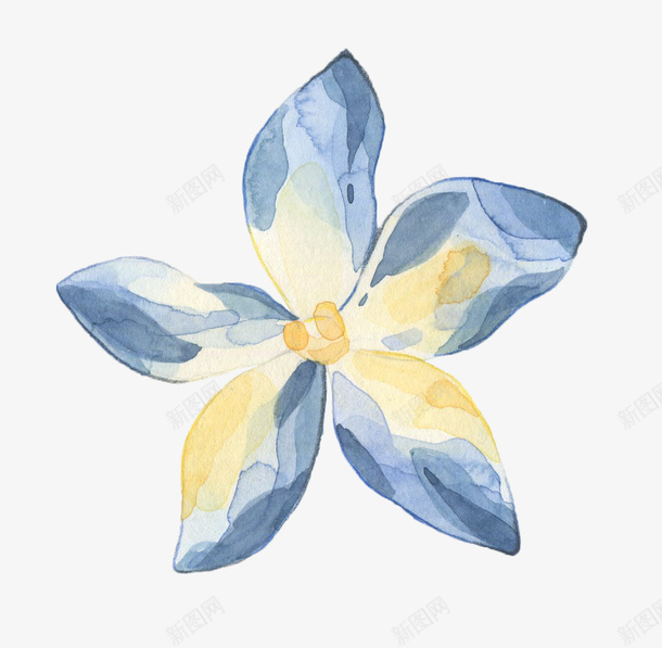 手绘五叶花png免抠素材_88icon https://88icon.com PNG图形 PNG装饰 手绘 植物 花朵 装饰