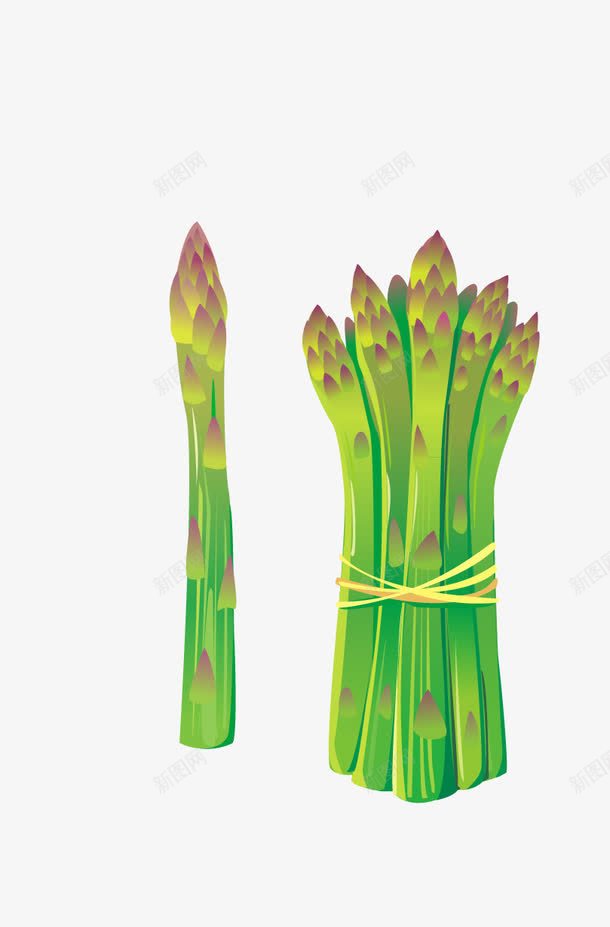 新鲜蔬菜png免抠素材_88icon https://88icon.com 上海青 包菜 卷心菜 大白菜 小白菜 植物 油菜 绿色蔬菜