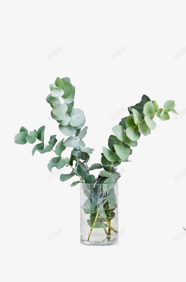 一串绿色树叶盆景png免抠素材_88icon https://88icon.com 图案 树叶 盆景 绿色 装饰