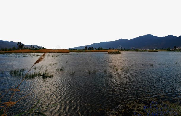 鹤庆草海景区png免抠素材_88icon https://88icon.com 云南鹤庆草海 旅游景区 著名景点 鹤庆草海景区