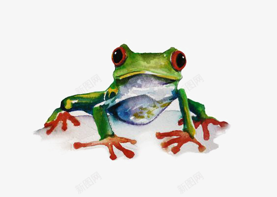 青蛙png免抠素材_88icon https://88icon.com 卡通青蛙 可爱青蛙 手绘青蛙 树蛙 水彩青蛙