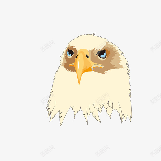 白头鹰鸟头png免抠素材_88icon https://88icon.com 手绘 白头鹰 白色 鸟头