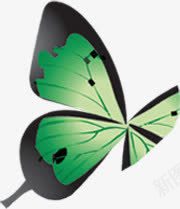 手绘黑绿色蝴蝶装饰png免抠素材_88icon https://88icon.com 蝴蝶 装饰 黑绿色