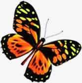 唯美时尚春天花朵png免抠素材_88icon https://88icon.com 时尚 春天 花朵