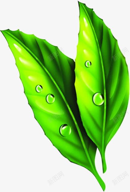绿色卡通艺术竹叶png免抠素材_88icon https://88icon.com 卡通 竹叶 绿色 艺术