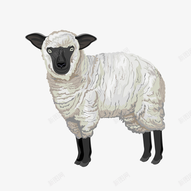 卡通羊矢量图eps免抠素材_88icon https://88icon.com PNG图 PNG图下载 创意卡通 动物插图 卡通 卡通插图 插图 羊 矢量图