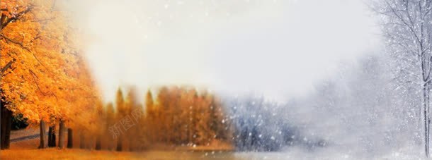 黄白色梦幻树林风景png免抠素材_88icon https://88icon.com 树林 梦幻 风景 黄白色
