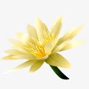 美丽梨花png免抠素材_88icon https://88icon.com 海报 海报元素 美丽梨花 趣味 趣味元素