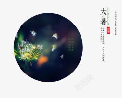 大暑png图片下载 大暑素材