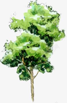 手绘绿色公园植物png免抠素材_88icon https://88icon.com 公园 植物 绿色