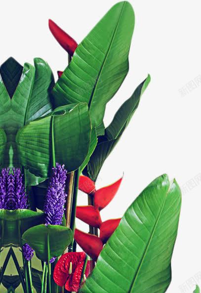 绿树美景植物景观花朵png免抠素材_88icon https://88icon.com 景观 植物 绿树 美景 花朵