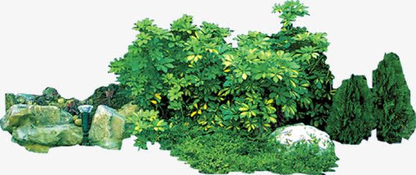 植物假山美景png免抠素材_88icon https://88icon.com 假山 图片 植物 美景