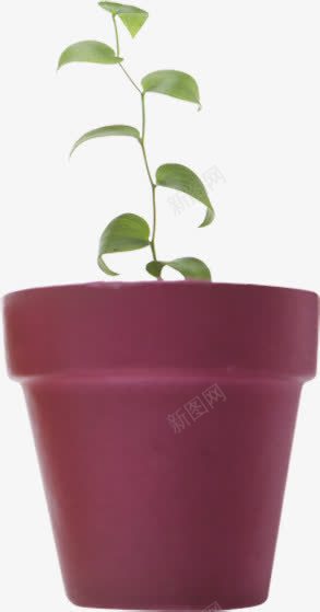 绿色树叶教师节png免抠素材_88icon https://88icon.com 教师节 树叶 绿色