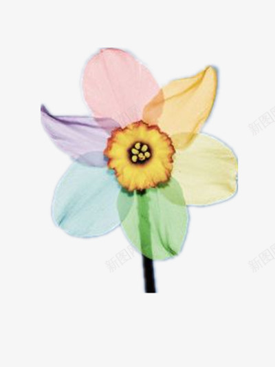 花png免抠素材_88icon https://88icon.com 六瓣花 六色 美丽