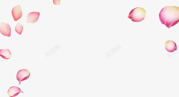 花瓣玫瑰花瓣粉色淘宝png免抠素材_88icon https://88icon.com 花瓣玫瑰花瓣粉色淘宝素材
