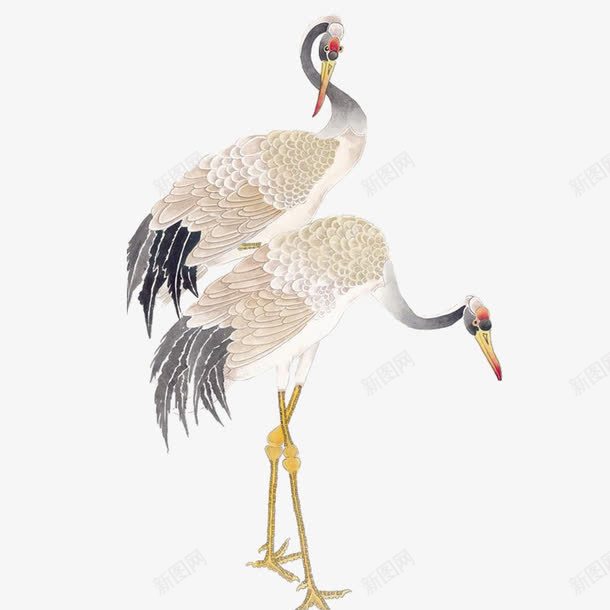 两只丹顶鹤png免抠素材_88icon https://88icon.com png素材 两只鸟 丹顶鹤 鸟