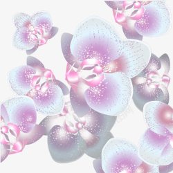 可爱花卉背景png图片下载 可爱花卉背景素材