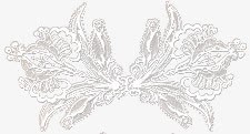黑色简笔花框png免抠素材_88icon https://88icon.com 简笔 黑色