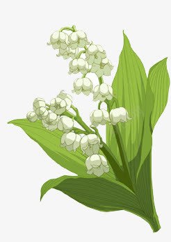 绿叶白花png免抠素材_88icon https://88icon.com 手绘 植物 绿叶 花朵