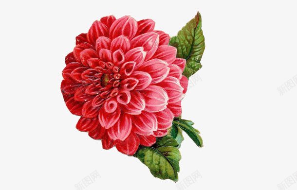 手绘粉色油画花朵png免抠素材_88icon https://88icon.com 油画 粉色 花朵