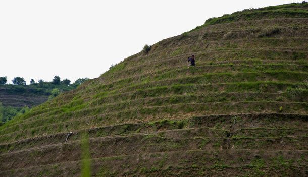 广西龙脊梯田风景png免抠素材_88icon https://88icon.com 广西 旅游 景点 美景 风景