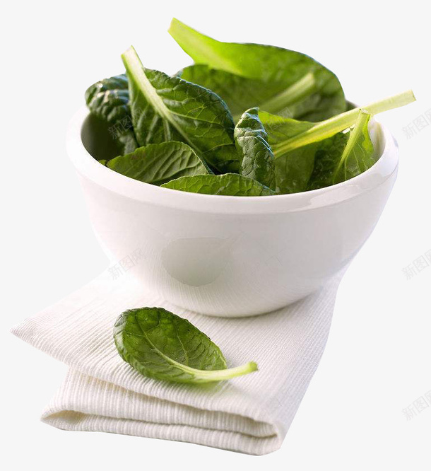 紫苏叶食用方式png免抠素材_88icon https://88icon.com 唇形科 塔花族 密被长柔毛 直立草本 紫苏叶 香浓