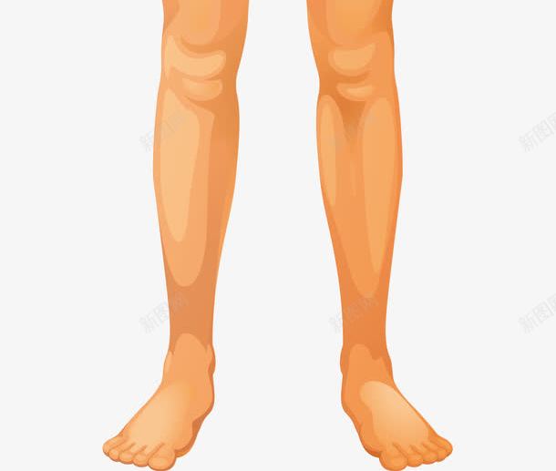 人体器官png免抠素材_88icon https://88icon.com 人体 人体卡通肢体 人体躯干 人的肢体 卡通人体 卡通肢体 器官 四肢 躯体