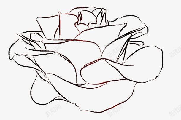 柔和线条花朵png免抠素材_88icon https://88icon.com 开放 柔和 线条 花朵