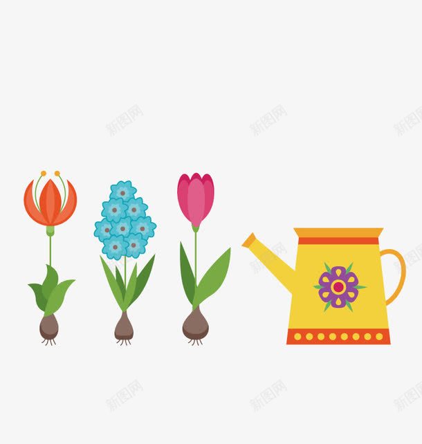 种植花卉png免抠素材_88icon https://88icon.com 卡通 水壶 郁金香 风信子