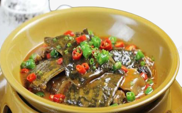 美味甲鱼其味无穷png免抠素材_88icon https://88icon.com 回味无穷 垂涎三尺 珍馐美味 美味 色味俱佳 野生甲鱼