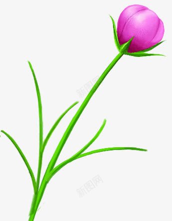 手绘紫色唯美花苞植物png免抠素材_88icon https://88icon.com 植物 紫色 花苞