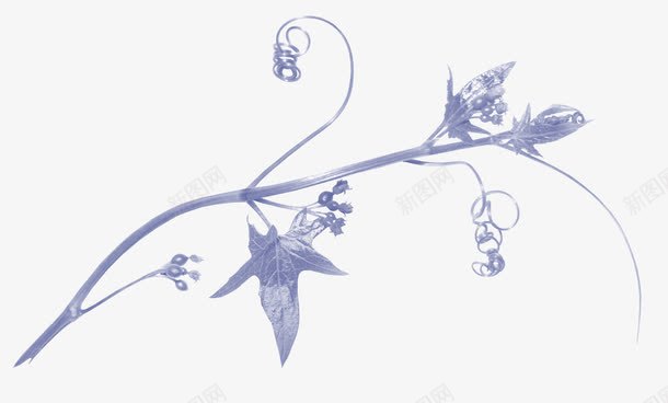 树叶树叶花边png免抠素材_88icon https://88icon.com 手绘树叶 树叶底纹 树叶素材 树叶背景元素 透明树叶元素