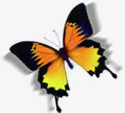 黄红色手绘蝴蝶装饰png免抠素材_88icon https://88icon.com 红色 蝴蝶 装饰
