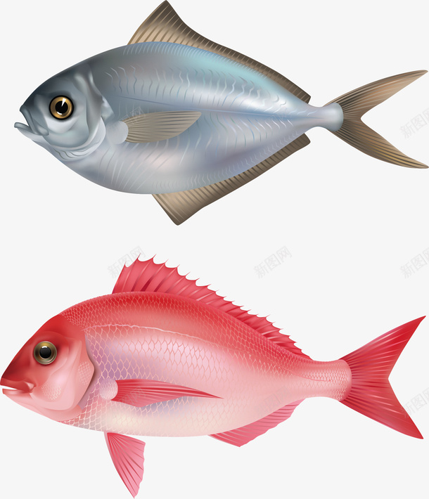 手绘金鱼矢量图ai免抠素材_88icon https://88icon.com 手绘 金鱼 食材 矢量图