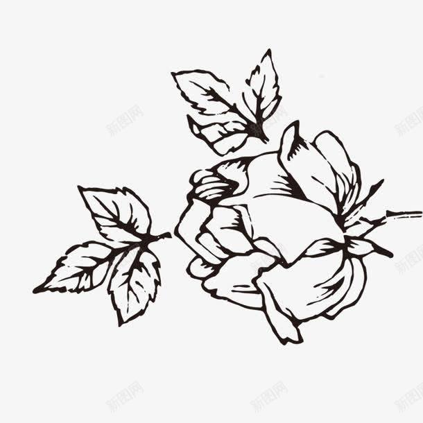 手绘的月季花png免抠素材_88icon https://88icon.com png图形 png装饰 手绘 月季 花朵 装饰