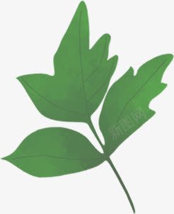 公园里的植物绿色的树叶png免抠素材_88icon https://88icon.com 公园 树叶 植物 绿色