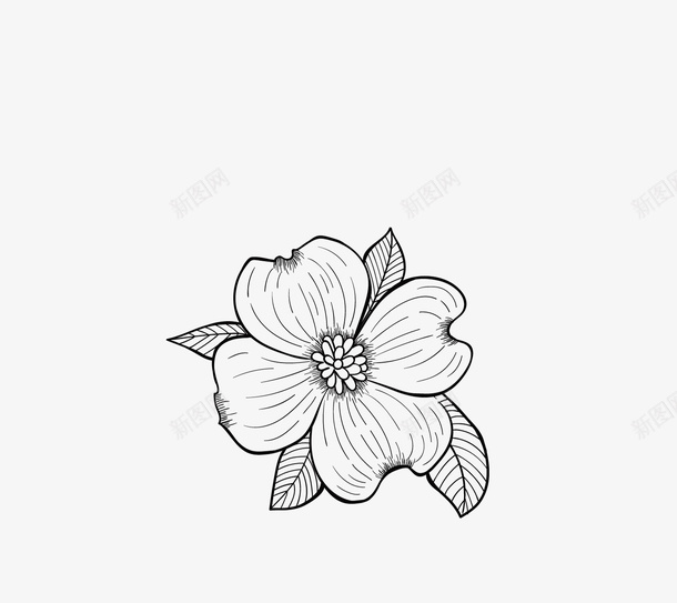 春暖花开桃花枝png免抠素材_88icon https://88icon.com 叶子 手绘花朵 桃叶 桃花 花卉 花朵 花朵装饰