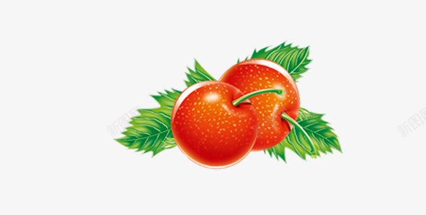 西红柿png免抠素材_88icon https://88icon.com 健康 农业 扣好的水果 水果 瓜果 绿色 蔬菜