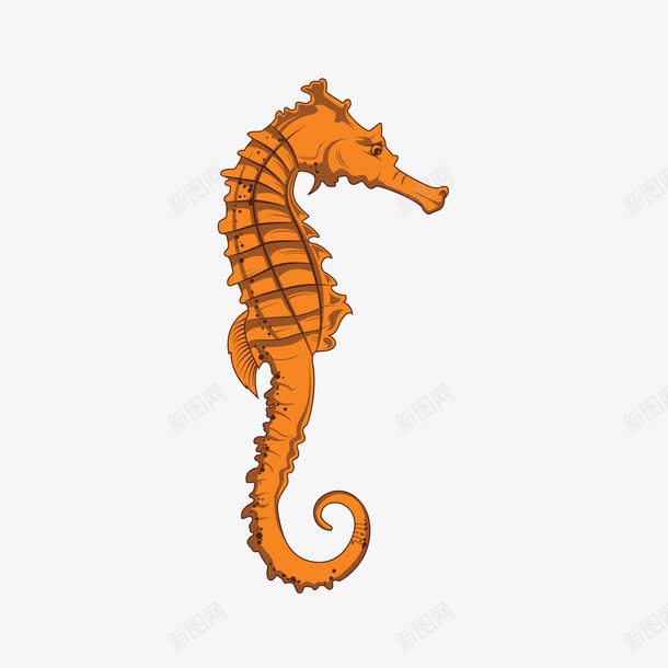 动物png免抠素材_88icon https://88icon.com 卡通 海马 黄色