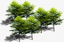 公园植物景观装饰png免抠素材_88icon https://88icon.com 公园 景观 植物 装饰