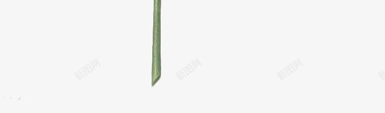 一簇水彩花png免抠素材_88icon https://88icon.com 手绘花朵 花 花束 花簇 卡通花卉 卡通花朵 水彩花卉 水彩植物 水彩花朵 清新植物 优雅花朵 优雅花卉 花卉植物 植物开花 花卉插画树叶 文化艺术绘画